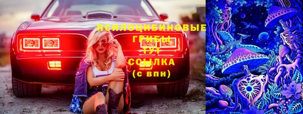 гидропоника Алзамай