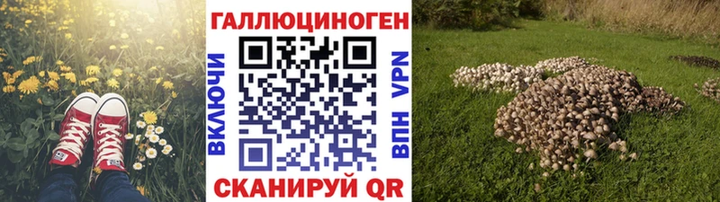 закладки  Спасск  Галлюциногенные грибы мицелий 